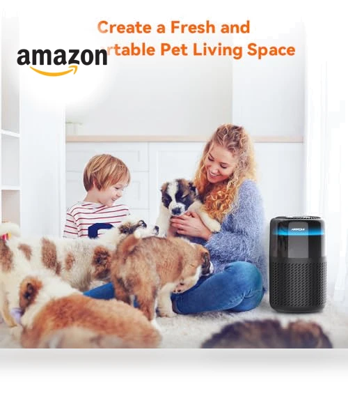 Air Purifier — HEPA Air Purifiers, AIRROMI