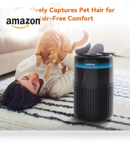 Air Purifier — HEPA Air Purifiers, AIRROMI