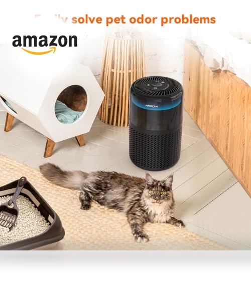 Air Purifier — HEPA Air Purifiers, AIRROMI