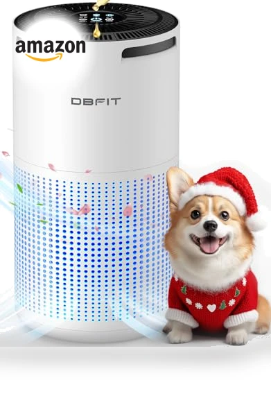 Large Room Air Purifier with Aromatherapy — HEPA Air Purifiers, DBFIT