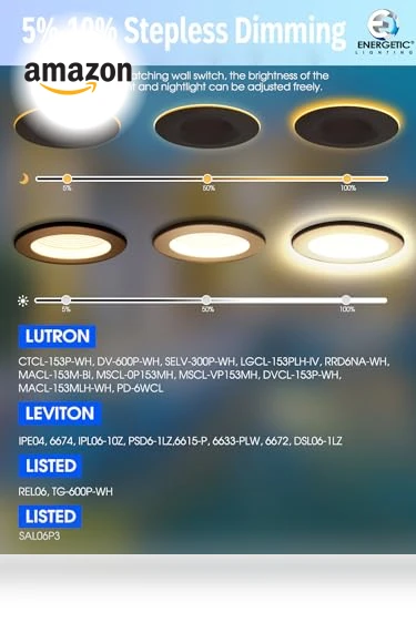 LED Recessed Lighting with Night Light — Overhead Lighting, E ENERGETIC LIGHTING