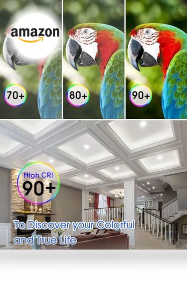 LED Recessed Lighting with Night Light — Overhead Lighting, E ENERGETIC LIGHTING