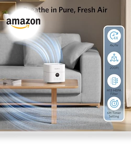 Air Purifier and Humidifier Combo — Air Moisturizers, HomBreez