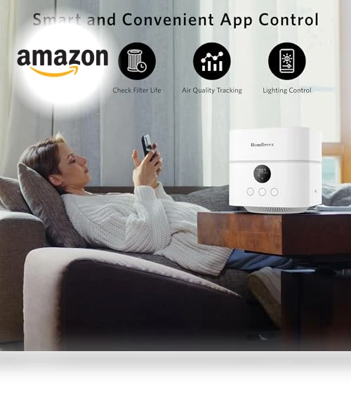 Air Purifier and Humidifier Combo — Air Moisturizers, HomBreez