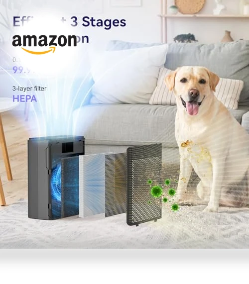 Air Purifier for Home with HEPA Filter — HEPA Air Purifiers, YARIKI