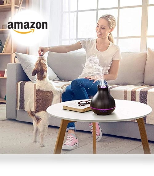 Aromatherapy Essential Oil Diffuser — Diffusers, BZseed