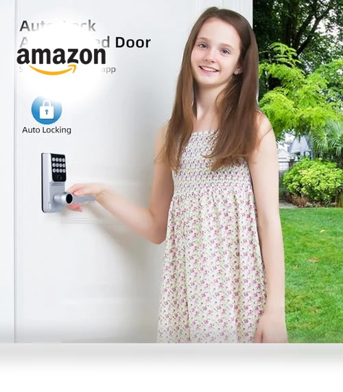 Keyless Entry Smart Door Lock — Locks, LORVIBO