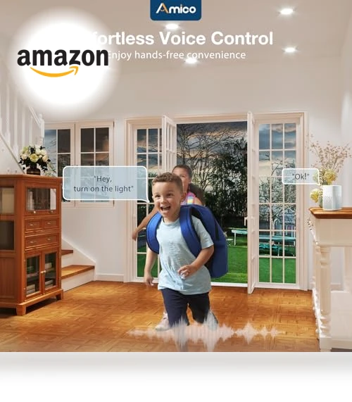 Smart LED Recessed Lighting — LED, Amico