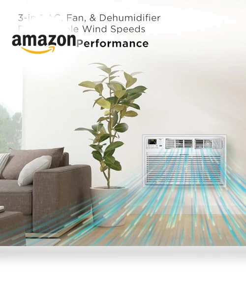 Smart Through-The-Wall Air Conditioner, Fan & Dehumidifier — Air Moisture Control, TCL