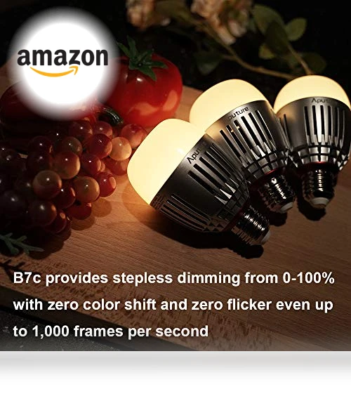 Smart LED Light Bulb — LED, Aputure