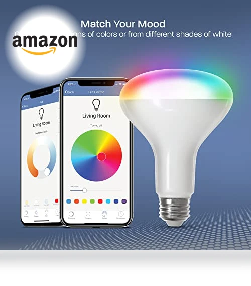 Smart LED Light Bulbs — LED, Feit Electric