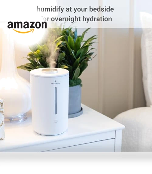 Wellness Humidifier — Air Moisturizers, Hey Dewy