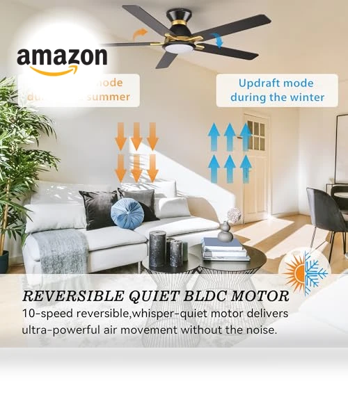 Smart Ceiling Fan with Lights — Ceiling Fan Wall Controls, SMAAIR