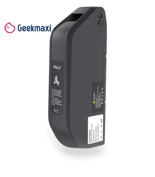 Electric Bike — E-Bikes, GOGOBEST