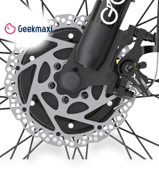 Electric Bike — E-Bikes, GOGOBEST