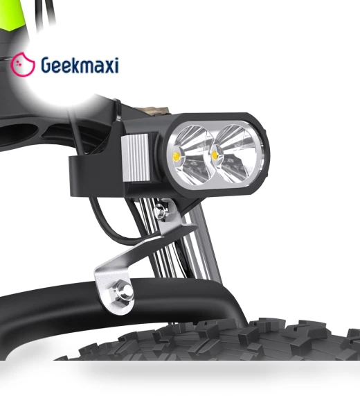 Electric Bike — Electric Self-Balancing Scooters, GOGOBEST