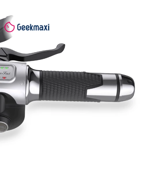 Electric Bike — Electric Self-Balancing Scooters, GOGOBEST