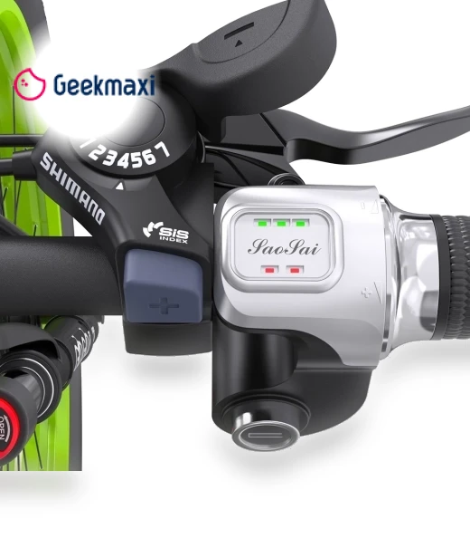 Electric Bike — Electric Self-Balancing Scooters, GOGOBEST