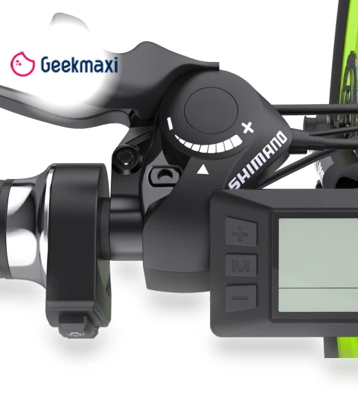 Electric Bike — Electric Self-Balancing Scooters, GOGOBEST