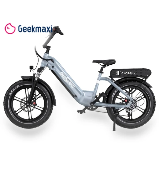 Electric Bike — Electric Self-Balancing Scooters, Onesport