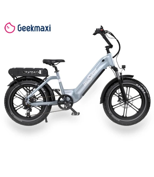 Electric Bike — Electric Self-Balancing Scooters, Onesport