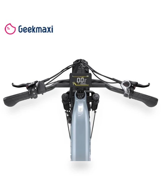Electric Bike — Electric Self-Balancing Scooters, Onesport