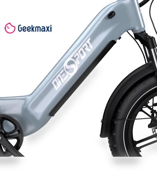 Electric Bike — Electric Self-Balancing Scooters, Onesport