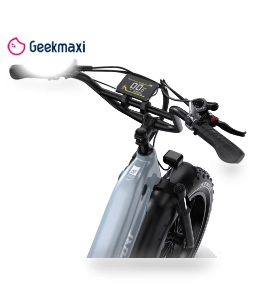 Electric Bike — Electric Self-Balancing Scooters, Onesport