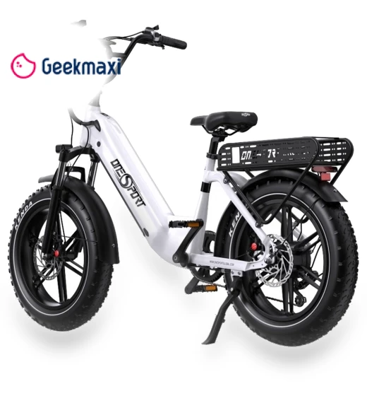 Electric Bike — Electric Self-Balancing Scooters, Onesport