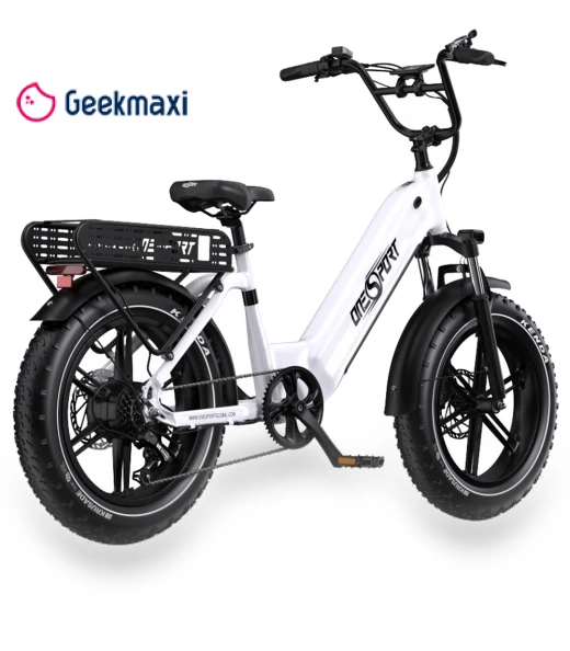 Electric Bike — Electric Self-Balancing Scooters, Onesport