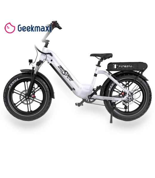 Electric Bike — Electric Self-Balancing Scooters, Onesport