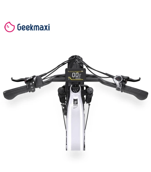 Electric Bike — Electric Self-Balancing Scooters, Onesport