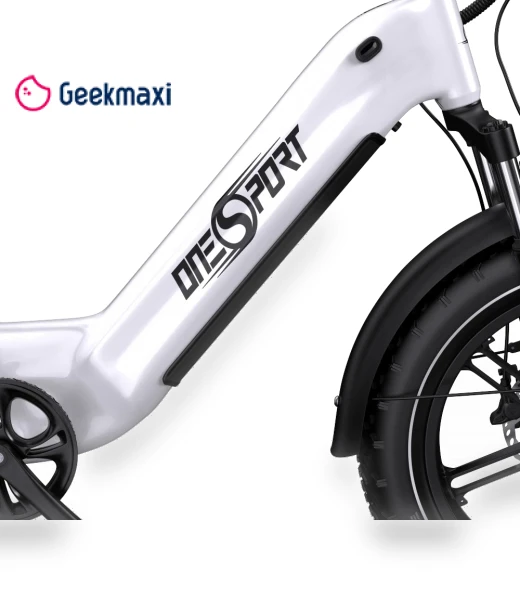 Electric Bike — Electric Self-Balancing Scooters, Onesport