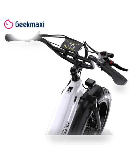 Electric Bike — Electric Self-Balancing Scooters, Onesport