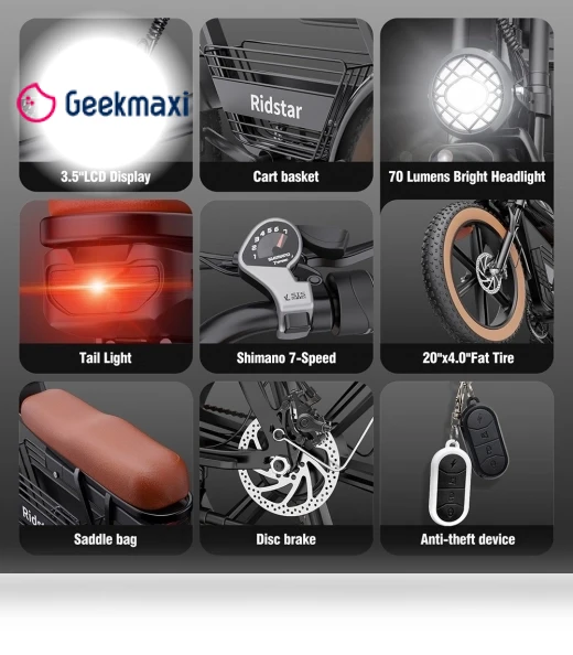 Electric Bike — Electric Vehicles, Ridstar