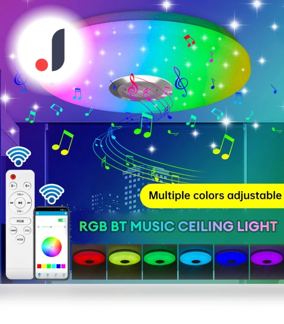 Modern Ceiling Light — Overhead Lighting, Lntelligent Living Hall