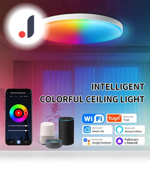 Smart WiFi Ceiling Light — Overhead Lighting, Lntelligent Living Hall
