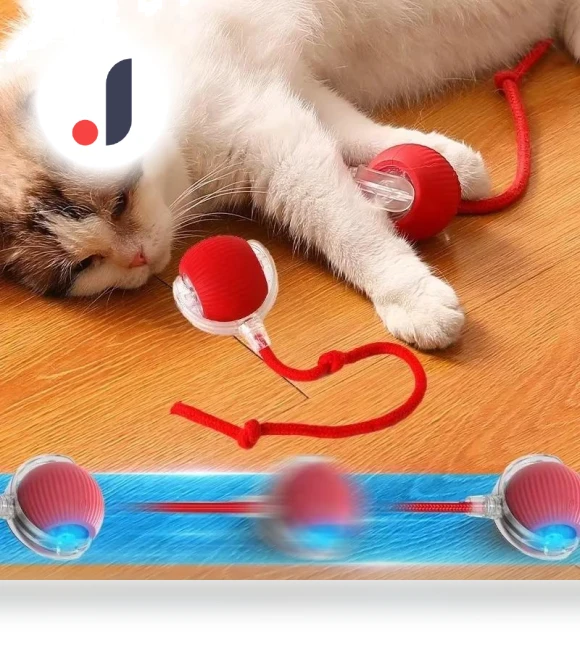 Interactive Pet Toy Ball — Interactive Animal Companions, YJMP