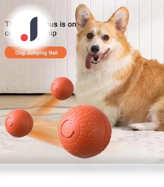 Interactive Smart Ball for Pets — Cat Playthings, yuezong