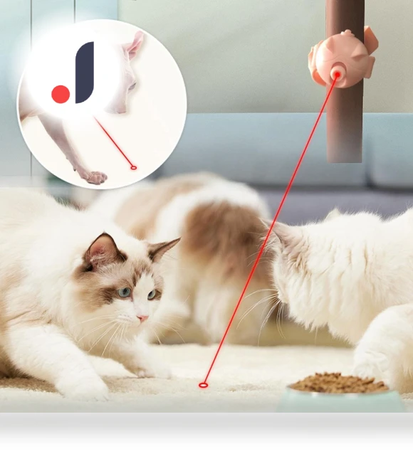 Laser Cat Collar with Light — Cat Collar Accessories, Sunnyway