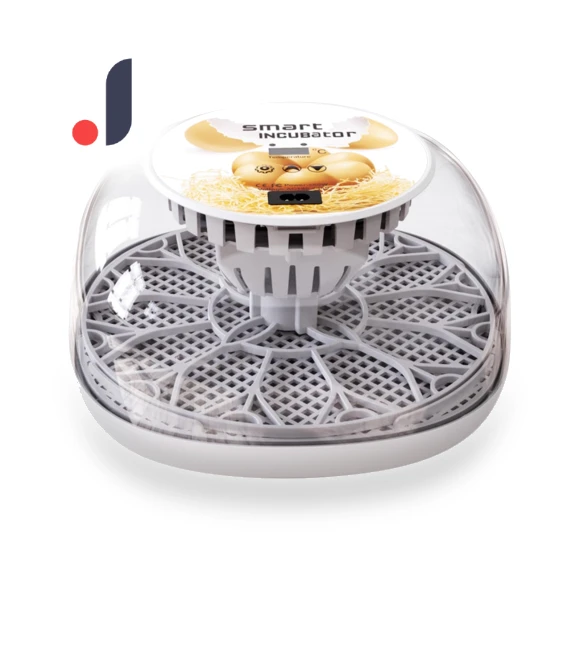 Automatic Egg Incubator with 360° Transparent Window — Egg Cookers, Challenge