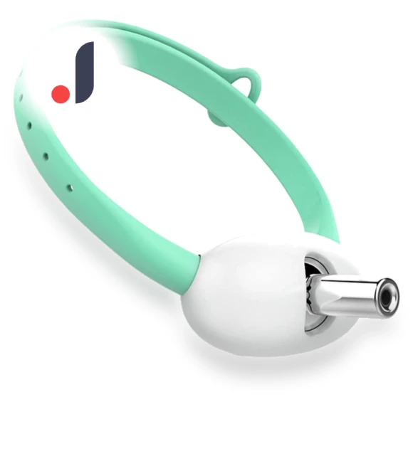 Smart Teasing Collar for Cats — Cat Playthings, Challenge