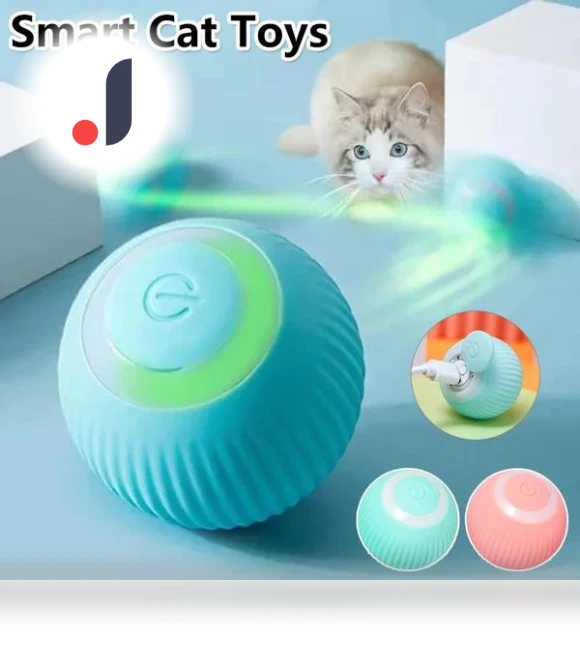 Interactive Cat Toys — Cat Playthings, The best future