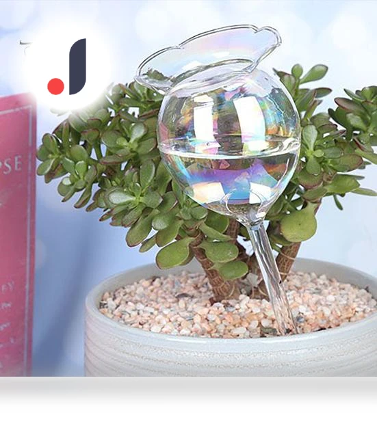 Glass Plant Waterer — Automatic Irrigation, Beautiful Garden