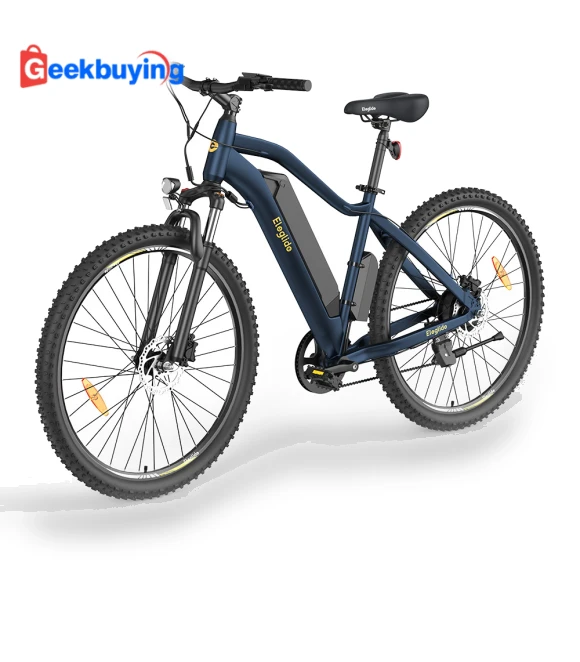 Electric Bike — Electric Self-Balancing Scooters, Eleglide