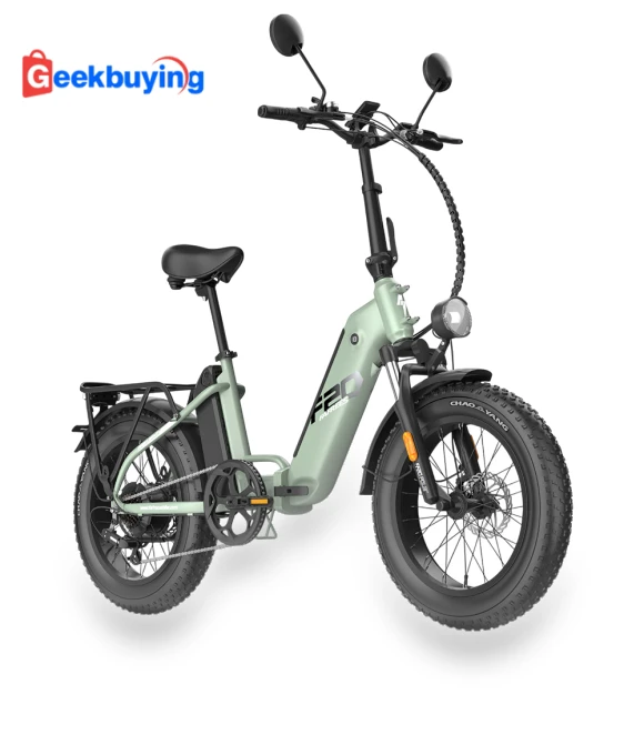 Polar Electric Bike — E-Bikes, Fafrees