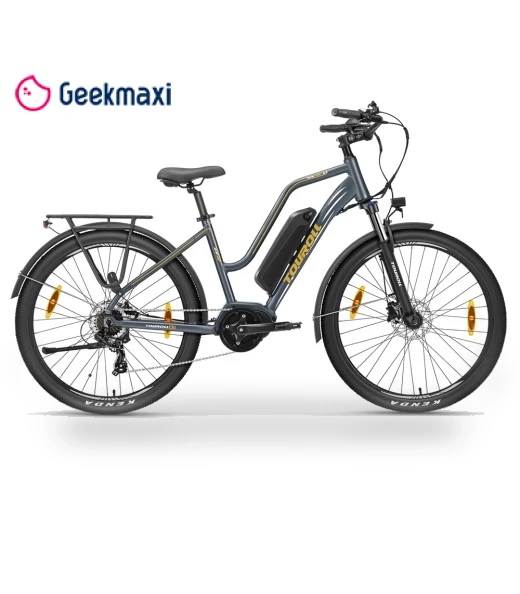 Electric Bike with Mid-Drive Motor — Electric Vehicles, Touroll