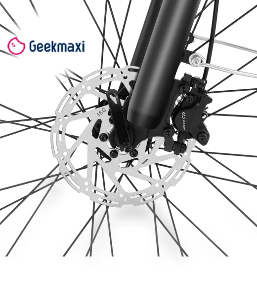 Electric Bike with Mid-Drive Motor — Electric Vehicles, Touroll