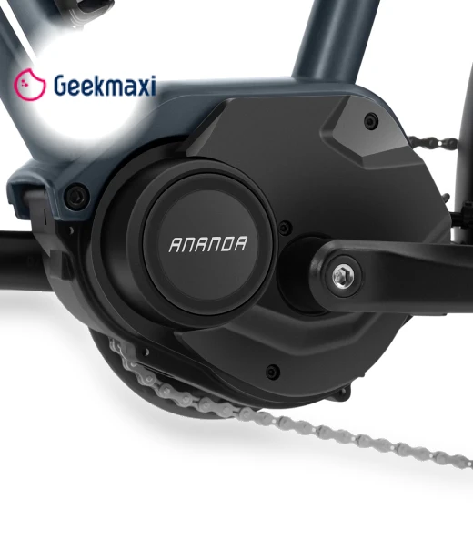 Electric Bike with Mid-Drive Motor — Electric Vehicles, Touroll