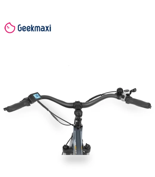Electric Bike with Mid-Drive Motor — Electric Vehicles, Touroll